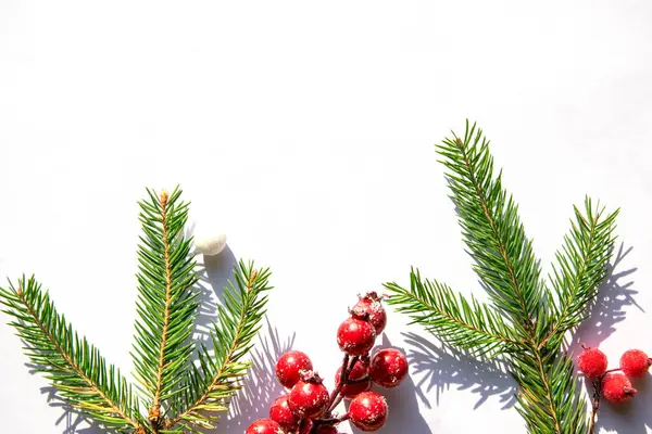 Evergreen dalları ve canlı kırmızı böğürtlenler güzel bir şekilde beyaz arka plana göre dizilmiş, neşeli bir tatil ruhunu çağrıştırıyor, mevsimlik dekorasyonlar için mükemmel..