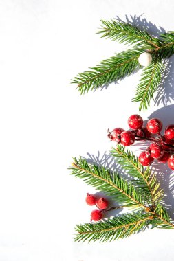 Kırmızı böğürtlenli çam dalları, beyaz bir arka planda, doğal güzelliklerini vurgulayarak ve bayramlar için şenlikli bir atmosferi anımsatarak yaratıcı bir şekilde düzenlenmiştir..