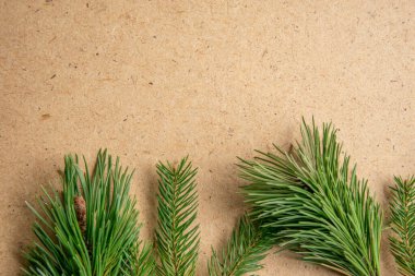 Sanatsal olarak düzenlenmiş taze çam dalları, kışın el sanatları veya şenlikli dekorasyon için mükemmel desenli kahverengi bir kraft kağıdının üzerinde dinleniyor. Yeşillik, sıcak arka planla çok güzel zıtlaşıyor..