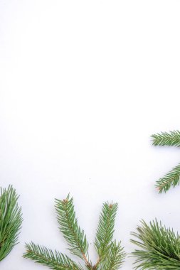 Canlı yeşil çam dalları, sanatsal olarak arkaplana yayılır. Tatil süslemeleri ve kış el sanatları için mükemmeldir. Düzenleme mevsimsel hissi arttırır..