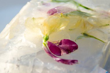 Net bir buz bloğu, yumuşak bir arkaplan karşısında canlı renkler sergileyen narin taç yaprakları ve yapraklarla güzel çiçek elementleri sergiliyor..