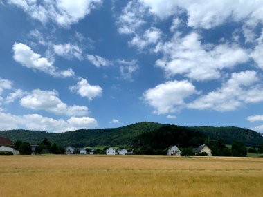 Geniş altın çimen alanları, parlak mavi bir gökyüzünün altında kabarık bulutlarla, uzak tepelerle ve büyüleyici evlerle dolu..