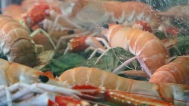 Restoranın yanındaki akvaryumda ıstakoz, karides ve yengeç var. Taze canlı deniz ürünleri. Deniz ürünlerine yakın çekim. Akvaryumda canlı deniz ürünleri. Süpermarkette ürün..