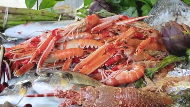新鲜海鲜陈列在市场上 新鲜海鲜在冰上 虾类和绿色 海产食品在当地一家餐馆展出出售 海鲜种类 — 图库视频影像