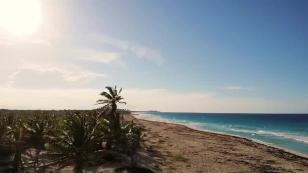 Vista Aérea Una Isla Tropical Con Cocoteros Mar Caribe Turquesa — Vídeo de stock