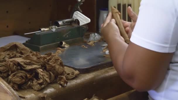 Рабочие Перекатывают Сигары Сигаровой Фабрике Доминиканской Республике Закрытие Рук Делающих — стоковое видео