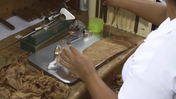 Puro Fabrikası Fabrikada Puro Büken Bir Uzman Yukarıdan Tütün Yapraklarından — Stok video
