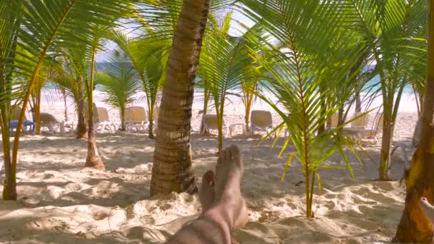 Чоловік Лежить Сонячному Ліжку Тіні Пальми Пляжі Крупним Планом Молодий — стокове відео