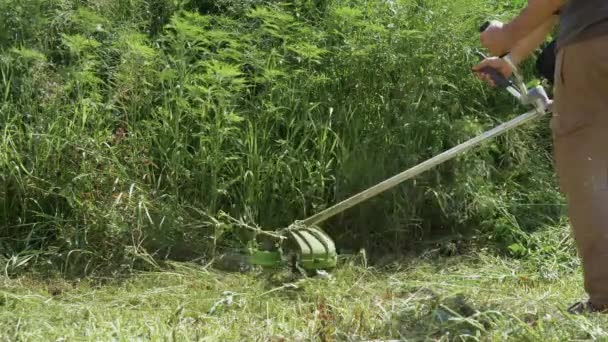 緑の草を刈るトリマーの背景に人間の足のクローズアップ スローモーション ガソリンハンドモワーで草を刈る 庭に傾向がある 男は草のトリマーで草を刈る — ストック動画