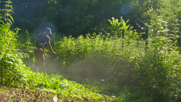 Jardinier Homme Tondre Herbe Tondeuse Manuelle Pour Nettoyage Zone Taille — Video