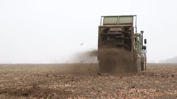 Gødningsfelter Med Kompost Gødning Jord Med Organiske Gødningsstoffer Mekanisk Landbrugsarbejde – Stock-video