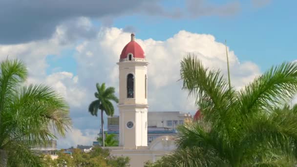 古巴西恩富戈斯古城的棕榈树 背景上有一座教堂塔 古巴西恩富戈斯天主教神圣概念天主教大教堂塔楼 Cenfuegos — 图库视频影像