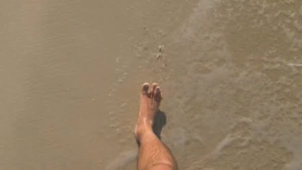 Мужские Ноги Пляже Человек Волосатыми Ногами Ходит Босиком Песчаному Пляжу — стоковое видео