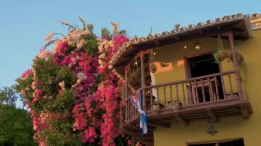 Küba bayraklı Luscious bougainvillea ve restoran, eski Casa de los Conspiradores, Plaza Mayor 'daki eski bir koloni evinde. Şehir merkezinde, House of Music 'in yanında Casa de Musica, Trinidad, Küba.