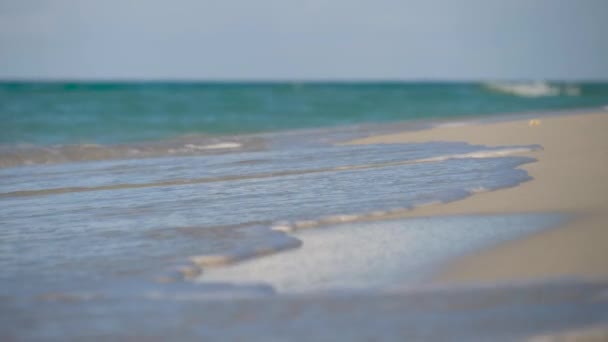 Oceaan Lucht Achtergrond Landschap Tropisch Strand Met Golven Die Neerstorten — Stockvideo