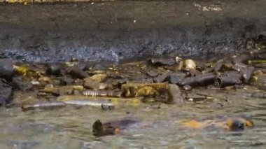 Çöp, atık, plastik şişeler ve deniz suyunu kaplayan siyah yağ. Ekoloji felaketi ve doğaya zarar veren endüstriyel kirlilik kavramı. Yakıt petrolünde yüzen plastik atıklar okyanus suyunu kirletiyor