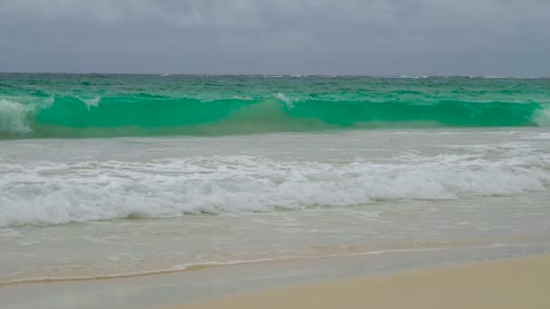 Shoreline Con Olas Olas Espumosas Del Océano Rodan Sobre Orilla — Vídeo de stock
