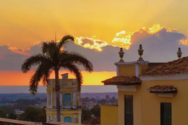 Kuba Trinidad Daun Palem Bergoyang Terhadap Matahari Terbenam Emas Laut — Stok Foto
