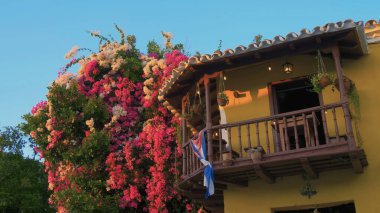 Küba bayraklı Luscious bougainvillea ve restoran, eski Casa de los Conspiradores, Plaza Mayor 'daki eski bir koloni evinde. Şehir merkezinde, House of Music 'in yanında Casa de Musica, Trinidad, Küba.