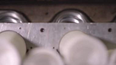 Plastik paket ve paket. Çevre dostu ve gıda depolama malzemeleri için güvenli plastik paketlerden üretilen ürünler. Yüksek performans ve hassas makineler üzerinde çalış. Kapat.