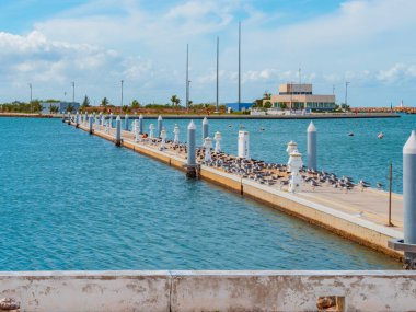Küba. Varadero. Yarısı terk edilmiş marina. Okyanus manzaralı boş bir yat limanı, mavi gökyüzü ve açık bulutlu güneşli bir gün. Küba 'da güneşli bir günde, beyaz teknenin yanında martıları olan deniz manzaralı iskele