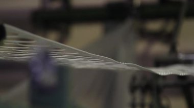 Tek seferlik paket ve paket. Çevre dostu ve gıda depolama malzemeleri için güvenli plastik paketlerden üretilen ürünler. Yüksek performans ve hassas makineler üzerinde çalış. Bitkinin içinde.