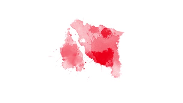 Pinselübergang Mit Roter Tinte Tintenkleckse Abstrakte Tinte Pinselkleckse Splitter Fluid — Stockvideo
