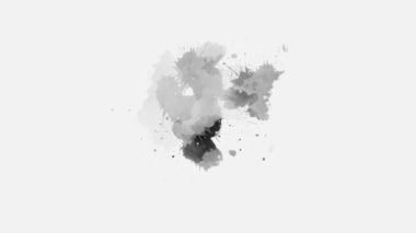 Beyaz arka plana renk mürekkebi sıçrar. Pembe geçiş efekti animasyonu. suluboya siyah mürekkep karışımı. Soyut mürekkep sıçrama değişimi. mürekkep fırçası darbesi, sıvı sanat arka planı, üst üste, alfa mat bileşimi.