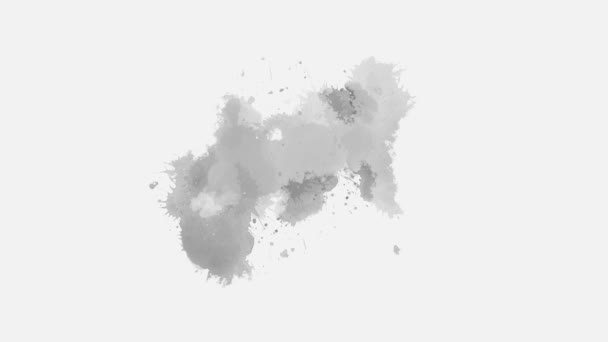 Colorful Water Brush Ink Spot Appears White Background Abstract Ink — Stock Video