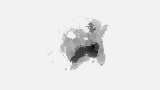 Color Ink Drops Splatter White Background Ink Splatter Transition Effect — Stock Video
