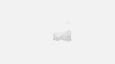 Beyaz üzerine izole edilmiş, sıvı bir kova boyası ile soyut suluboya arka plan görüntüsü. Siyah beyaz tonları