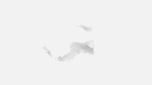 白に隔離されたアクアレル塗料の液体スプラッタを持つ抽象的な水彩の背景画像 白黒のトーン — ストック動画