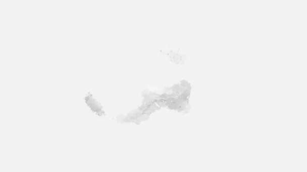 抽象的な水彩のアクアレル 白い背景の液体のペンキのスプラッターの汚れ — ストック動画