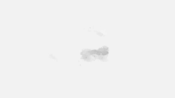 抽象的な水彩背景画像 白で隔離された アクアレル紙の液体スプラッターです 黒と白のパステルトーン — ストック動画