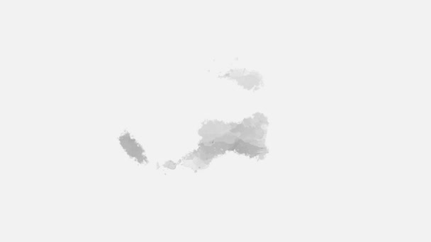 抽象水彩背景图像与水彩漆的液体飞溅 在白色上隔离 黑白色调 — 图库视频影像