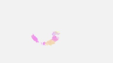 Suluboya fırça darbesi. Mürekkep sıçrama değişimi. Soyut mürekkep lekesi, splat, akışkan sanat, kaplama, alfa matte kompozisyonu, beyaz kağıt üzerine yayılmış. Mürekkep değişimi lekesi yayılıyor.