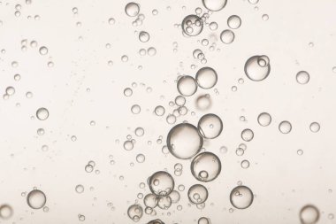 Güzel altın bir şampanya kadehte akıyor..