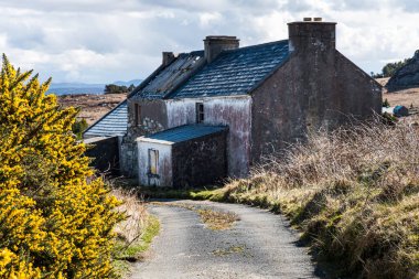 Terk edilmiş mülk ya da ev Arranmore Adası, İrlanda Cumhuriyeti, Donegal İlçesi. Kırsal kesimde terk edilmiş çatısı olan bir villa. Yoksul ya da yoksul ev İrlanda kırsal nüfus kaybını gösteriyor - İrlanda Cumhuriyeti Donegal İlçesi