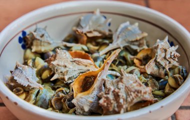 Yenilebilir deniz kabuğu ve deniz salyangozu karışımı, bejden kahverengiye tonlarda, deniz dokusunu renklendiriyor. Bu güney İtalyan spesiyali, gelenek, lezzet ve kıyı mutfağının özünü harmanlıyor.