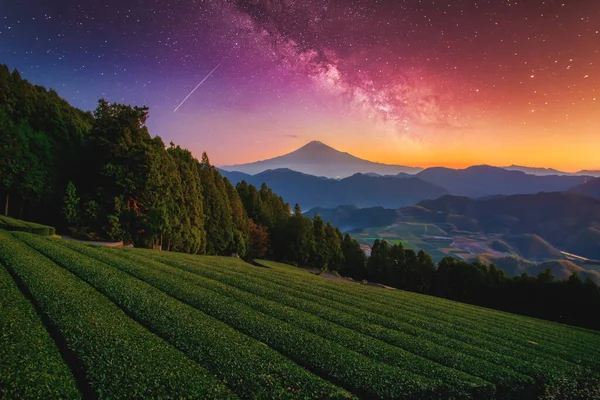 Paisagem Com Láctea Galáxia Fuji Sobre Campo Chá Verde Com — Fotografia de Stock