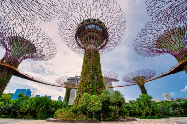 Singapore - APRIL 30, 2018: Supertree Grove on blue sky in the Garden by the Bay at sunset, Singapore.