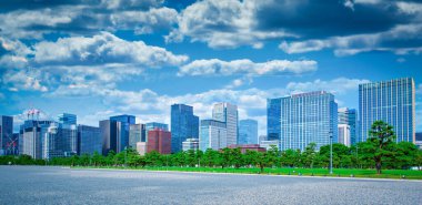 Tokyo, Japonya 'da mavi gökyüzü arka planında yeşil bahçeli modern bina.