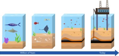 Petrol ve Gaz oluşum vektörü illüstrasyon, petrol ve gaz oluşumu adım adım diyagram, okyanusta petrol ve gaz endüstrisi, petrol oluşumu