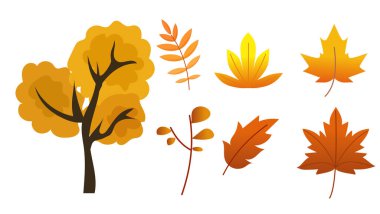 Güzel renkli sonbahar yaprakları çizimi, beyaz arka planda izole edilmiş, sonbahar yaprakları koleksiyonu, sade düz çizim, sonbahar sezonu, sonbahar mevsiminde ağaç