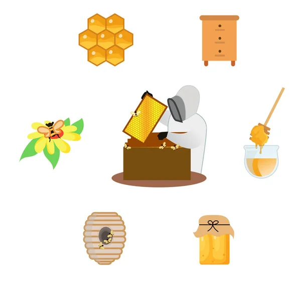 Harvesting Honeycomb Beekeeper Vector Illustration Farm Industry Honey Harvest Set — Stock Vector