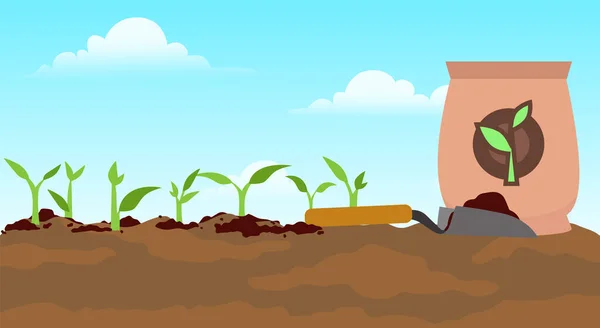 Semeadura Composto Para Plantas Chão Mão Aplicando Fertilizante Alimento Vegetal — Vetor de Stock