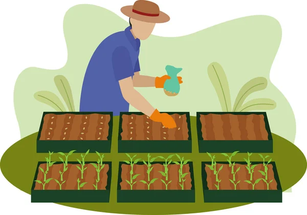 土箱に種を植える農民 種子ベクターのイラストを播種する男性労働者 テーブルの上に種を育てる野菜 — ストックベクタ