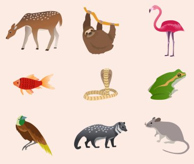 Hayvanlar toplama vektör illüstrasyonunu, farklı sektördeki tüm hayvanları, amfibiyi, sürüngeni, memeliyi oluşturur.