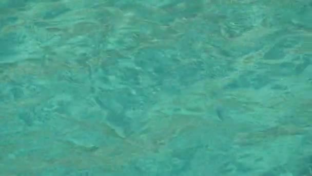 Прозора Бірюзова Вода Критського Моря Березі Величезний Туристичний Корабель — стокове відео