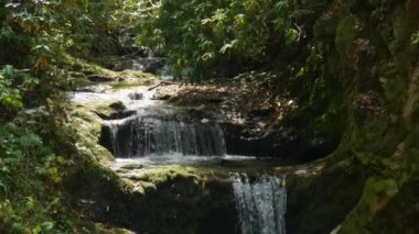 Clean mountain fresh stream with running clear water surrounded by boulders of stones and moss. The beautiful nature of the German Black Forest